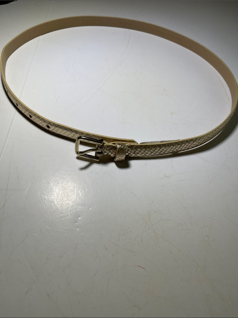 Talbots Gold Snakeskin-Texture Belt with Gold Buckle NWT